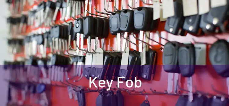  Key Fob 